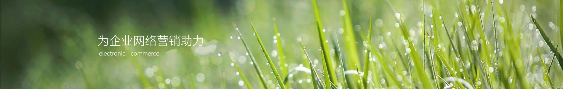 ݶٻ޹˾